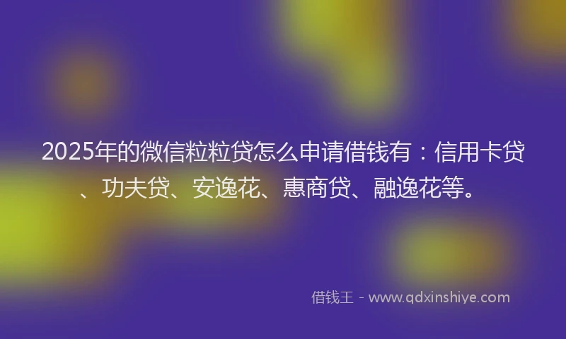 2025年的微信粒粒贷怎么申请借钱有：信用卡贷、功夫贷、安逸花、惠商贷、融逸花等。