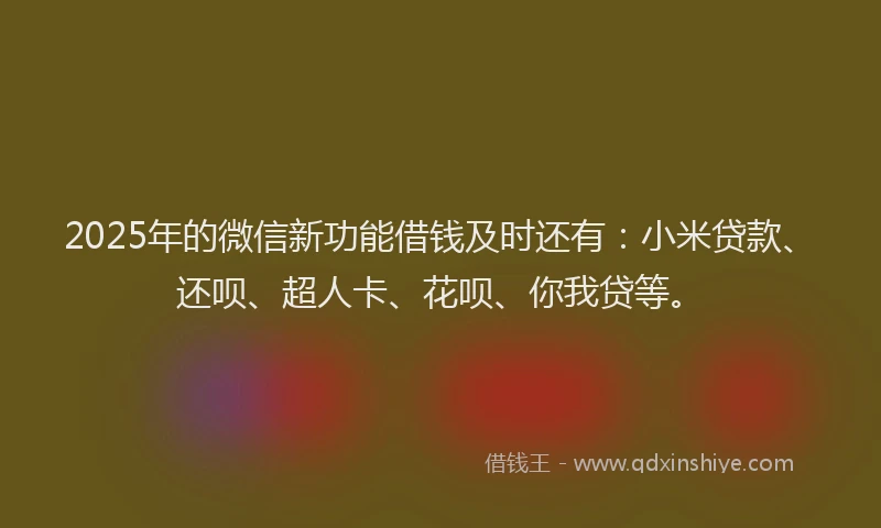2025年的微信新功能借钱及时还有：小米贷款、还呗、超人卡、花呗、你我贷等。