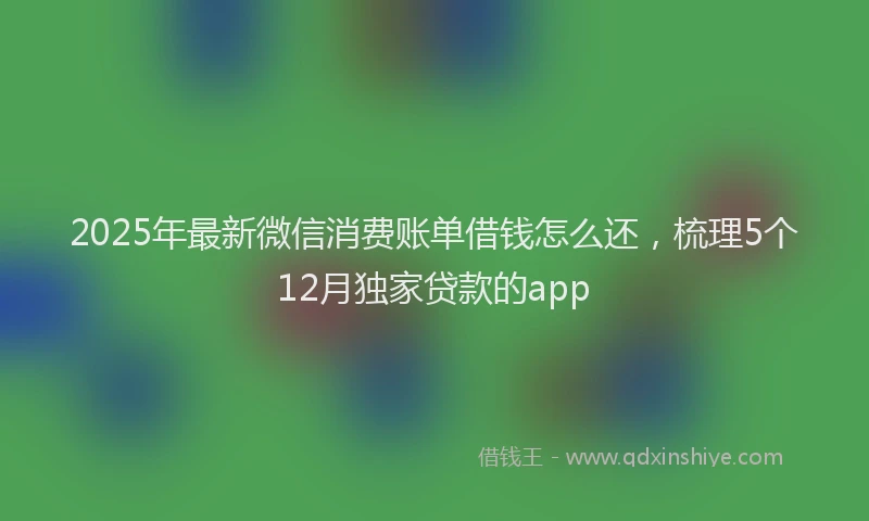 2025年最新微信消费账单借钱怎么还，梳理5个12月独家贷款的app