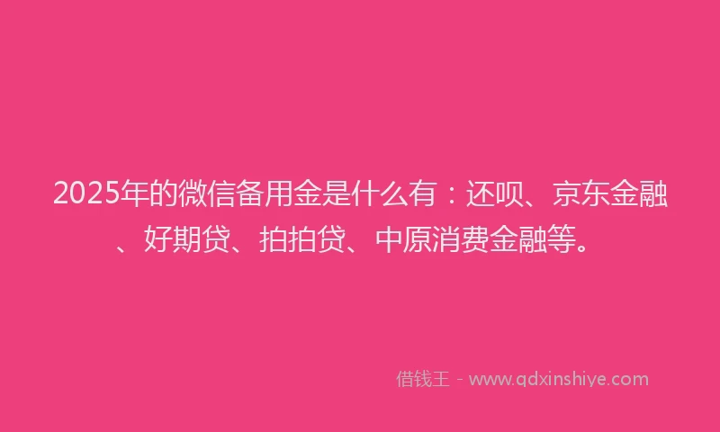 2025年的微信备用金是什么有：还呗、京东金融、好期贷、拍拍贷、中原消费金融等。