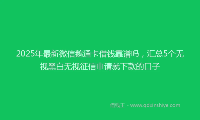2025年最新微信鹅通卡借钱靠谱吗，汇总5个无视黑白无视征信申请就下款的口子