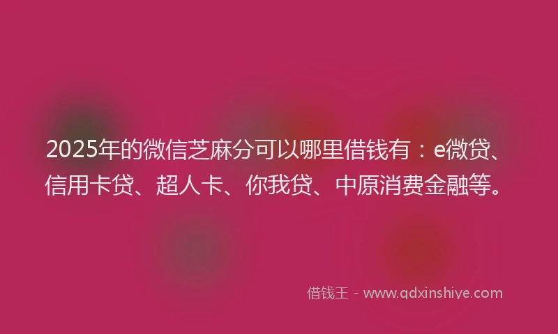 2025年的微信芝麻分可以哪里借钱有：e微贷、信用卡贷、超人卡、你我贷、中原消费金融等。