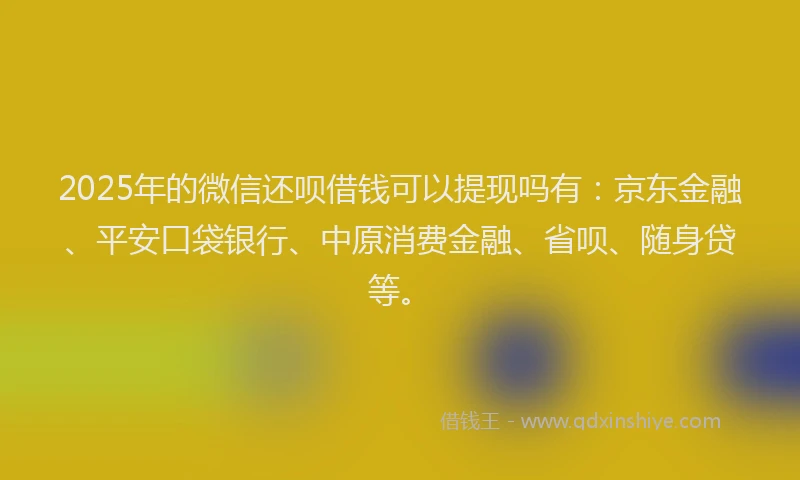 2025年的微信还呗借钱可以提现吗有：京东金融、平安口袋银行、中原消费金融、省呗、随身贷等。