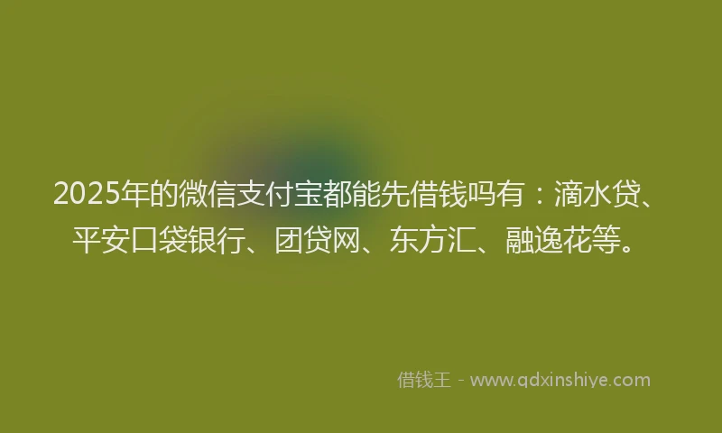 2025年的微信支付宝都能先借钱吗有：滴水贷、平安口袋银行、团贷网、东方汇、融逸花等。