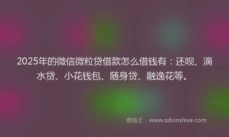 2025年的微信微粒贷借款怎么借钱有：还呗、滴水贷、小花钱包、随身贷、融逸花等。