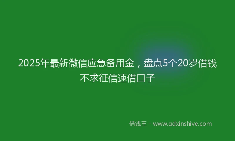 2025年最新微信应急备用金，盘点5个20岁借钱不求征信速借口子