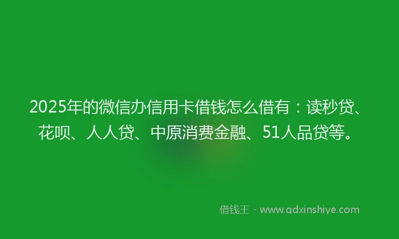 2025年的微信办信用卡借钱怎么借有：读秒贷、花呗、人人贷、中原消费金融、51人品贷等。