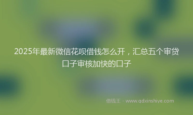 2025年最新微信花呗借钱怎么开，汇总五个审贷口子审核加快的口子