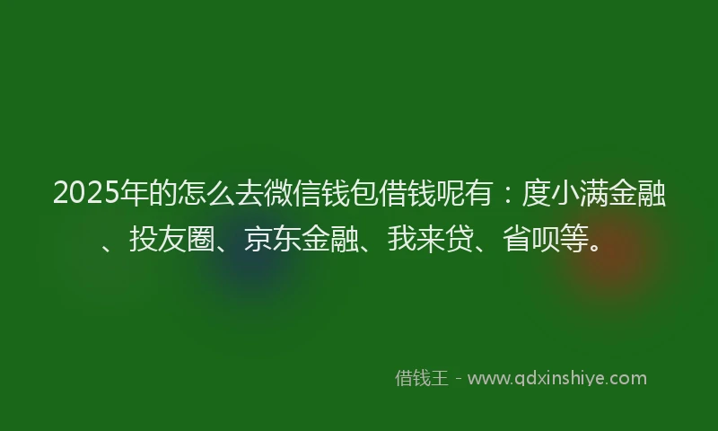 2025年的怎么去微信钱包借钱呢有：度小满金融、投友圈、京东金融、我来贷、省呗等。