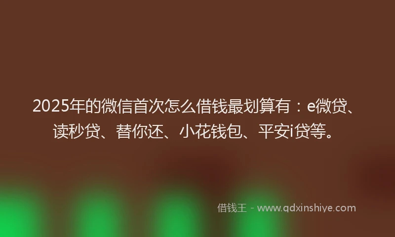 2025年的微信首次怎么借钱最划算有：e微贷、读秒贷、替你还、小花钱包、平安i贷等。