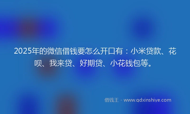 2025年的微信借钱要怎么开口有：小米贷款、花呗、我来贷、好期贷、小花钱包等。