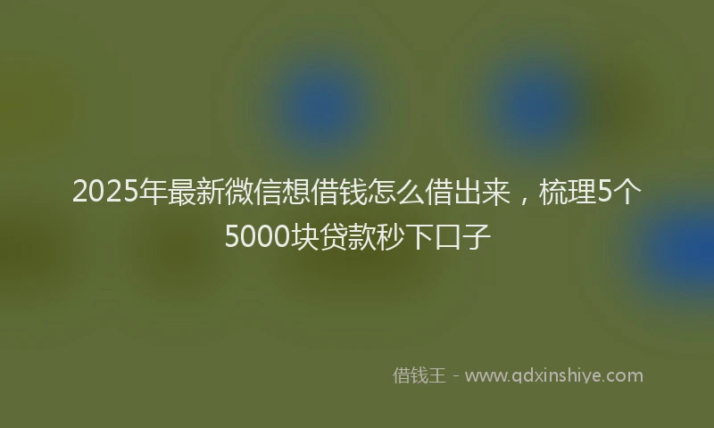 2025年最新微信想借钱怎么借出来，梳理5个5000块贷款秒下口子