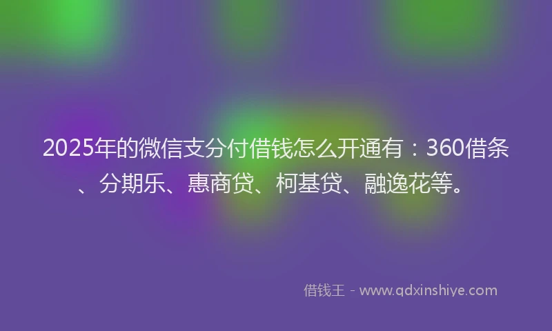 2025年的微信支分付借钱怎么开通有：360借条、分期乐、惠商贷、柯基贷、融逸花等。