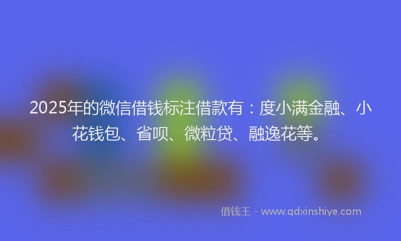 2025年的微信借钱标注借款有：度小满金融、小花钱包、省呗、微粒贷、融逸花等。