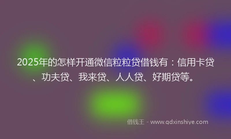 2025年的怎样开通微信粒粒贷借钱有：信用卡贷、功夫贷、我来贷、人人贷、好期贷等。