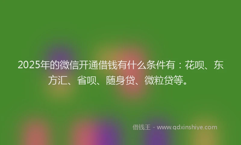 2025年的微信开通借钱有什么条件有：花呗、东方汇、省呗、随身贷、微粒贷等。