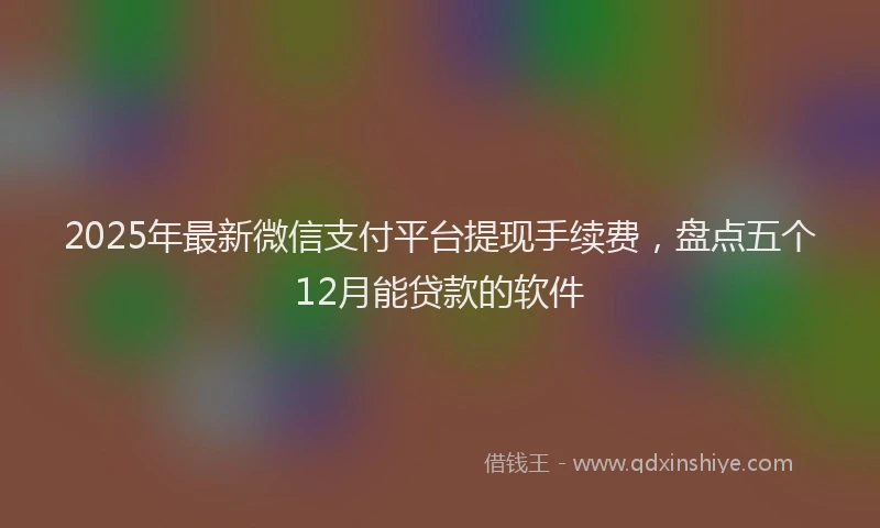 2025年最新微信支付平台提现手续费，盘点五个12月能贷款的软件