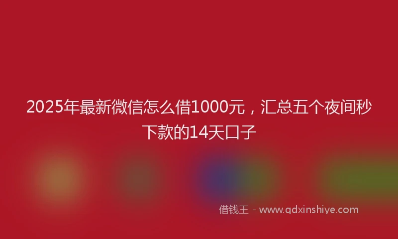 2025年最新微信怎么借1000元，汇总五个夜间秒下款的14天口子