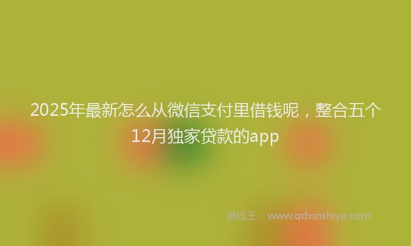 2025年最新怎么从微信支付里借钱呢，整合五个12月独家贷款的app