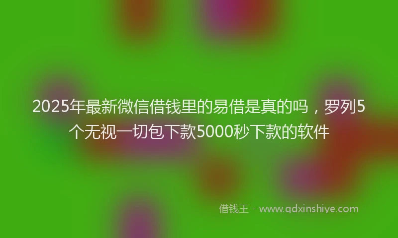 2025年最新微信借钱里的易借是真的吗，罗列5个无视一切包下款5000秒下款的软件