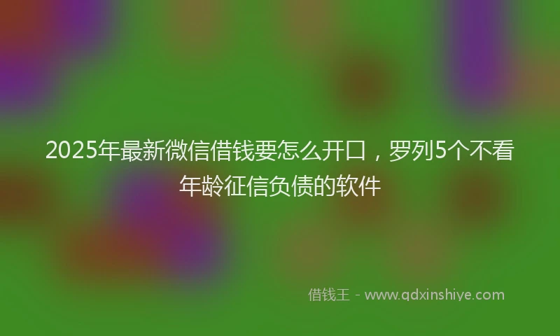 2025年最新微信借钱要怎么开口，罗列5个不看年龄征信负债的软件