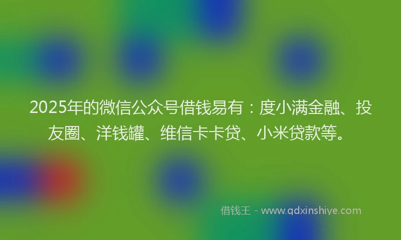 2025年的微信公众号借钱易有：度小满金融、投友圈、洋钱罐、维信卡卡贷、小米贷款等。