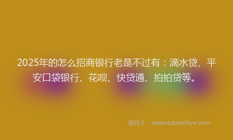 2025年的怎么招商银行老是不过有：滴水贷、平安口袋银行、花呗、快贷通、拍拍贷等。