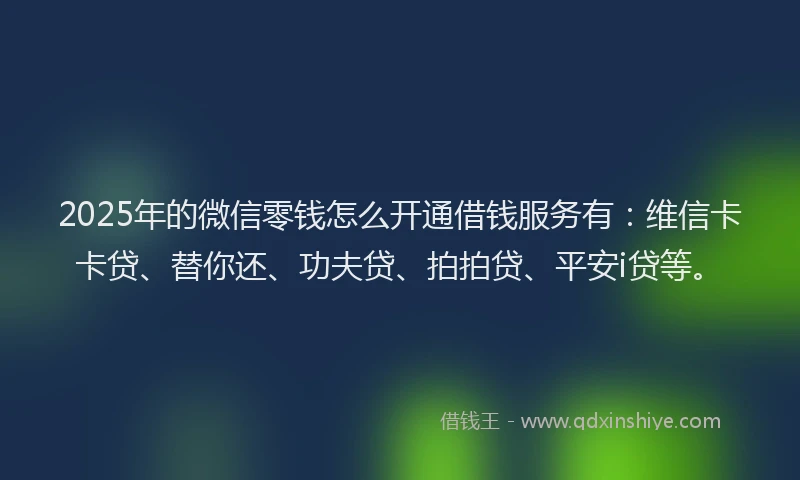 2025年的微信零钱怎么开通借钱服务有：维信卡卡贷、替你还、功夫贷、拍拍贷、平安i贷等。