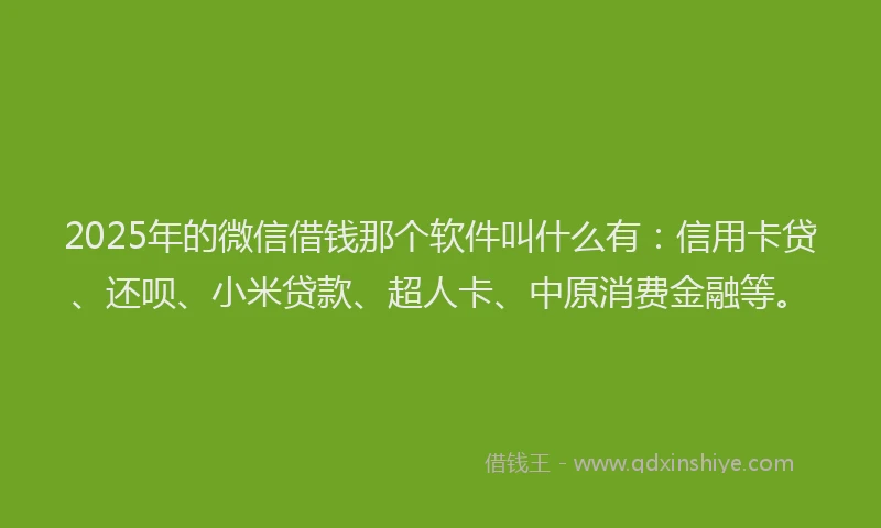 2025年的微信借钱那个软件叫什么有：信用卡贷、还呗、小米贷款、超人卡、中原消费金融等。