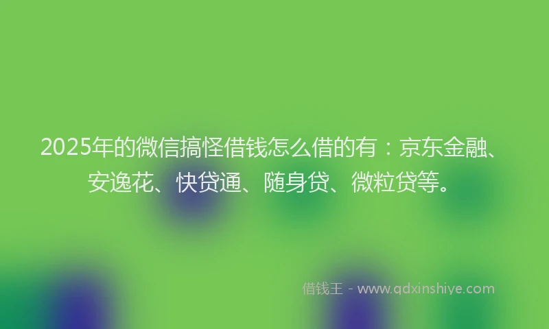 2025年的微信搞怪借钱怎么借的有：京东金融、安逸花、快贷通、随身贷、微粒贷等。