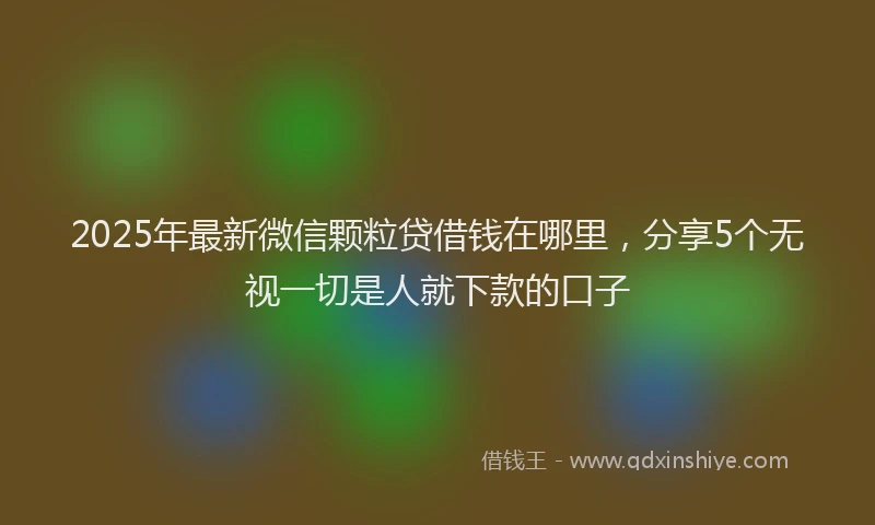 2025年最新微信颗粒贷借钱在哪里，分享5个无视一切是人就下款的口子