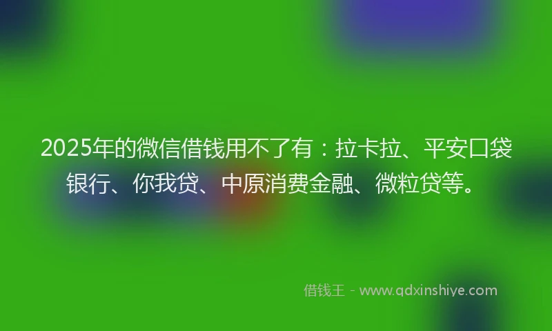 2025年的微信借钱用不了有：拉卡拉、平安口袋银行、你我贷、中原消费金融、微粒贷等。