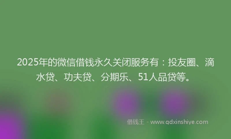 2025年的微信借钱永久关闭服务有：投友圈、滴水贷、功夫贷、分期乐、51人品贷等。