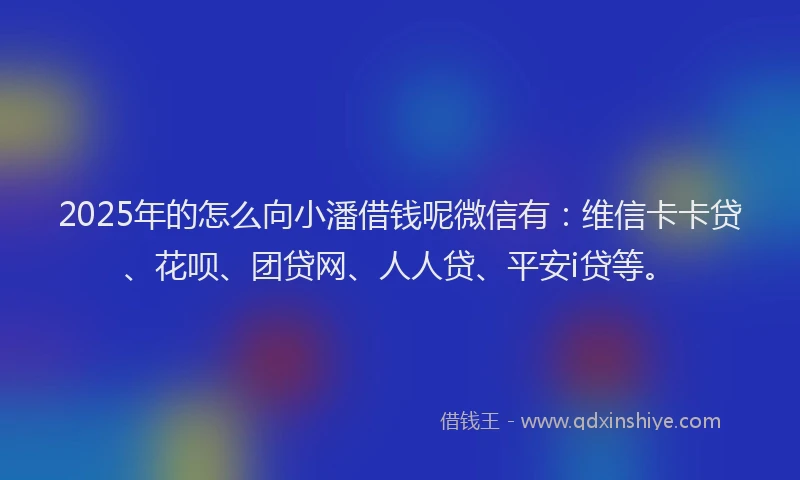 2025年的怎么向小潘借钱呢微信有：维信卡卡贷、花呗、团贷网、人人贷、平安i贷等。