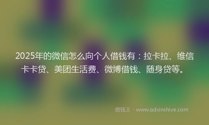 2025年的微信怎么向个人借钱有：拉卡拉、维信卡卡贷、美团生活费、微博借钱、随身贷等。