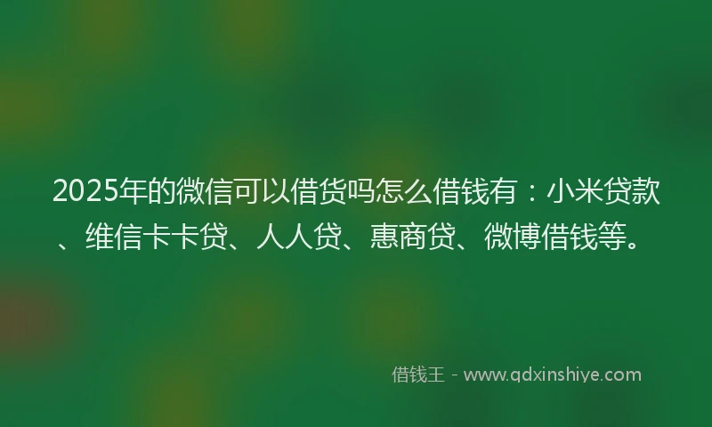 2025年的微信可以借货吗怎么借钱有：小米贷款、维信卡卡贷、人人贷、惠商贷、微博借钱等。