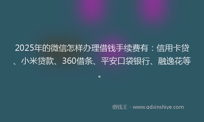 2025年的微信怎样办理借钱手续费有：信用卡贷、小米贷款、360借条、平安口袋银行、融逸花等。