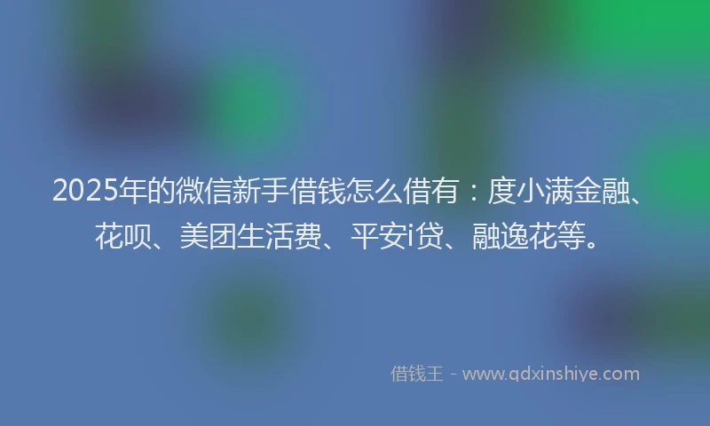2025年的微信新手借钱怎么借有：度小满金融、花呗、美团生活费、平安i贷、融逸花等。