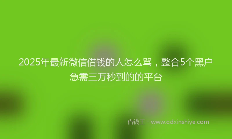 2025年最新微信借钱的人怎么骂，整合5个黑户急需三万秒到的的平台