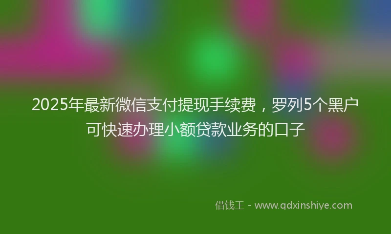 2025年最新微信支付提现手续费，罗列5个黑户可快速办理小额贷款业务的口子