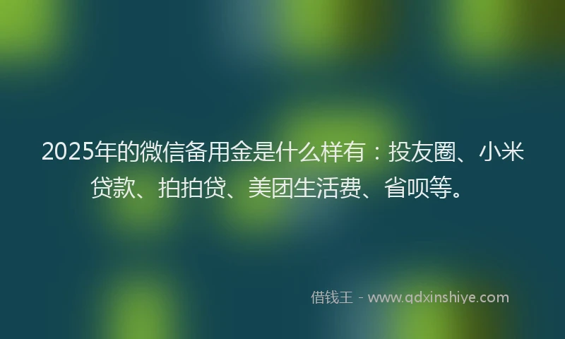 2025年的微信备用金是什么样有：投友圈、小米贷款、拍拍贷、美团生活费、省呗等。