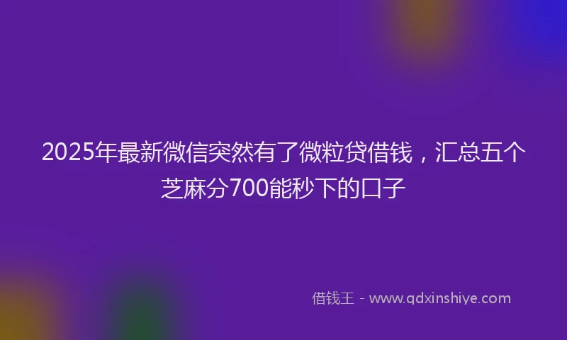 2025年最新微信突然有了微粒贷借钱，汇总五个芝麻分700能秒下的口子