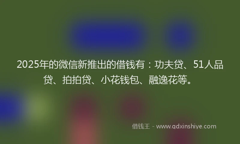 2025年的微信新推出的借钱有：功夫贷、51人品贷、拍拍贷、小花钱包、融逸花等。