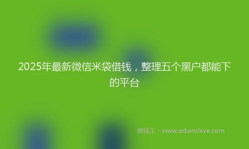 2025年最新微信米袋借钱，整理五个黑户都能下的平台