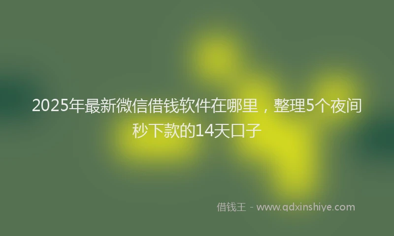 2025年最新微信借钱软件在哪里，整理5个夜间秒下款的14天口子