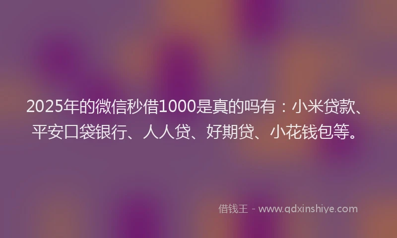 2025年的微信秒借1000是真的吗有：小米贷款、平安口袋银行、人人贷、好期贷、小花钱包等。