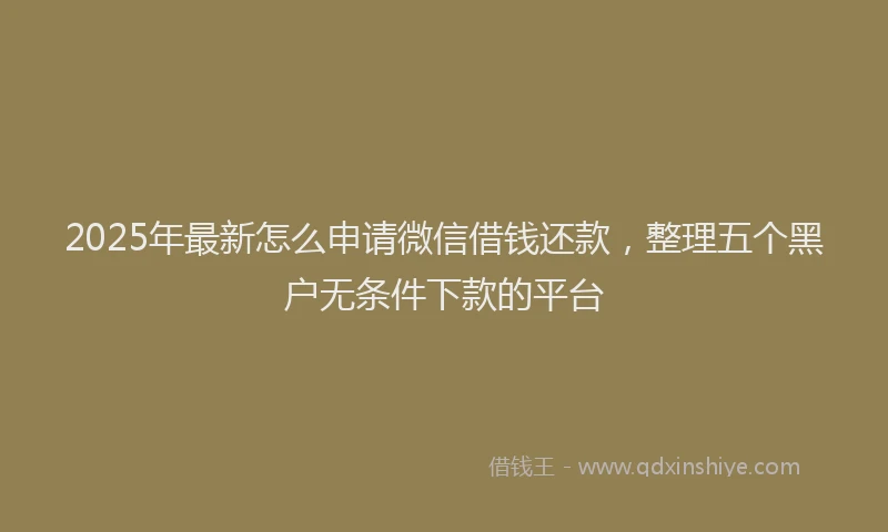 2025年最新怎么申请微信借钱还款，整理五个黑户无条件下款的平台