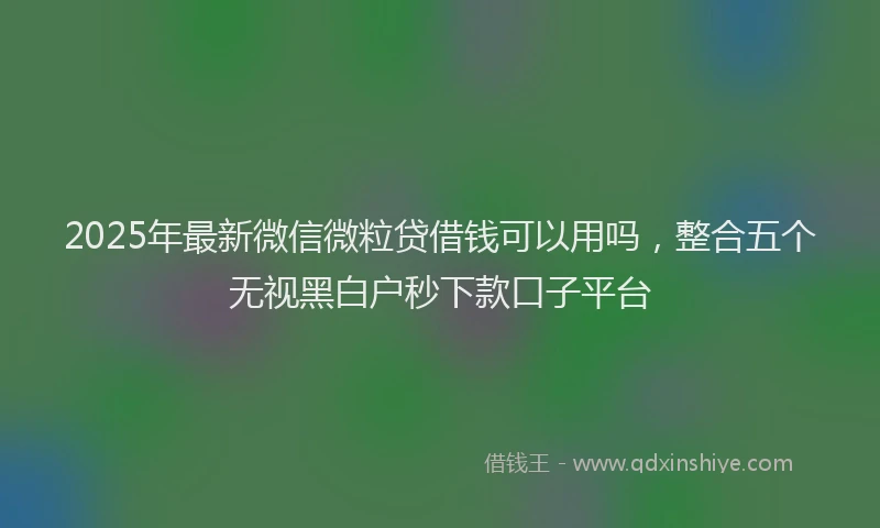 2025年最新微信微粒贷借钱可以用吗，整合五个无视黑白户秒下款口子平台