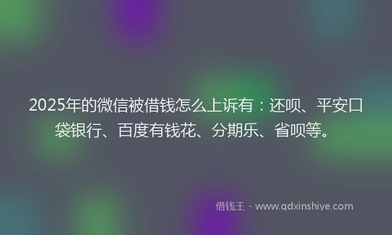 2025年的微信被借钱怎么上诉有：还呗、平安口袋银行、百度有钱花、分期乐、省呗等。