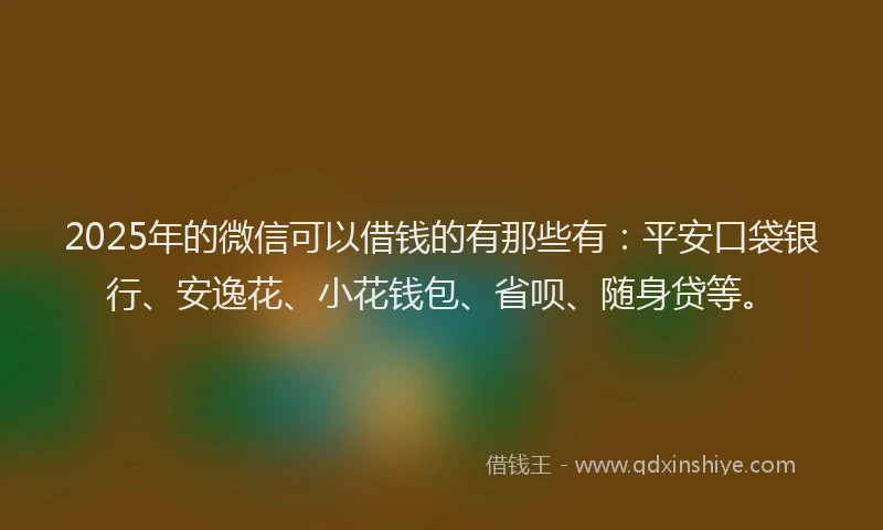 2025年的微信可以借钱的有那些有：平安口袋银行、安逸花、小花钱包、省呗、随身贷等。